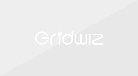 Gridwiz logo gray background image